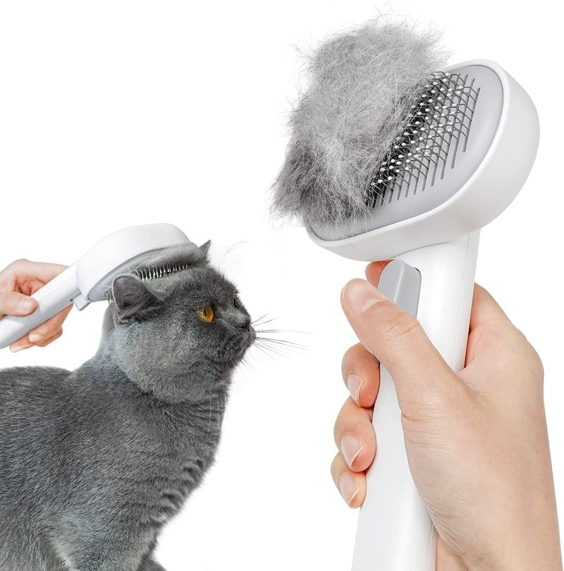 Shedding brushes clearance