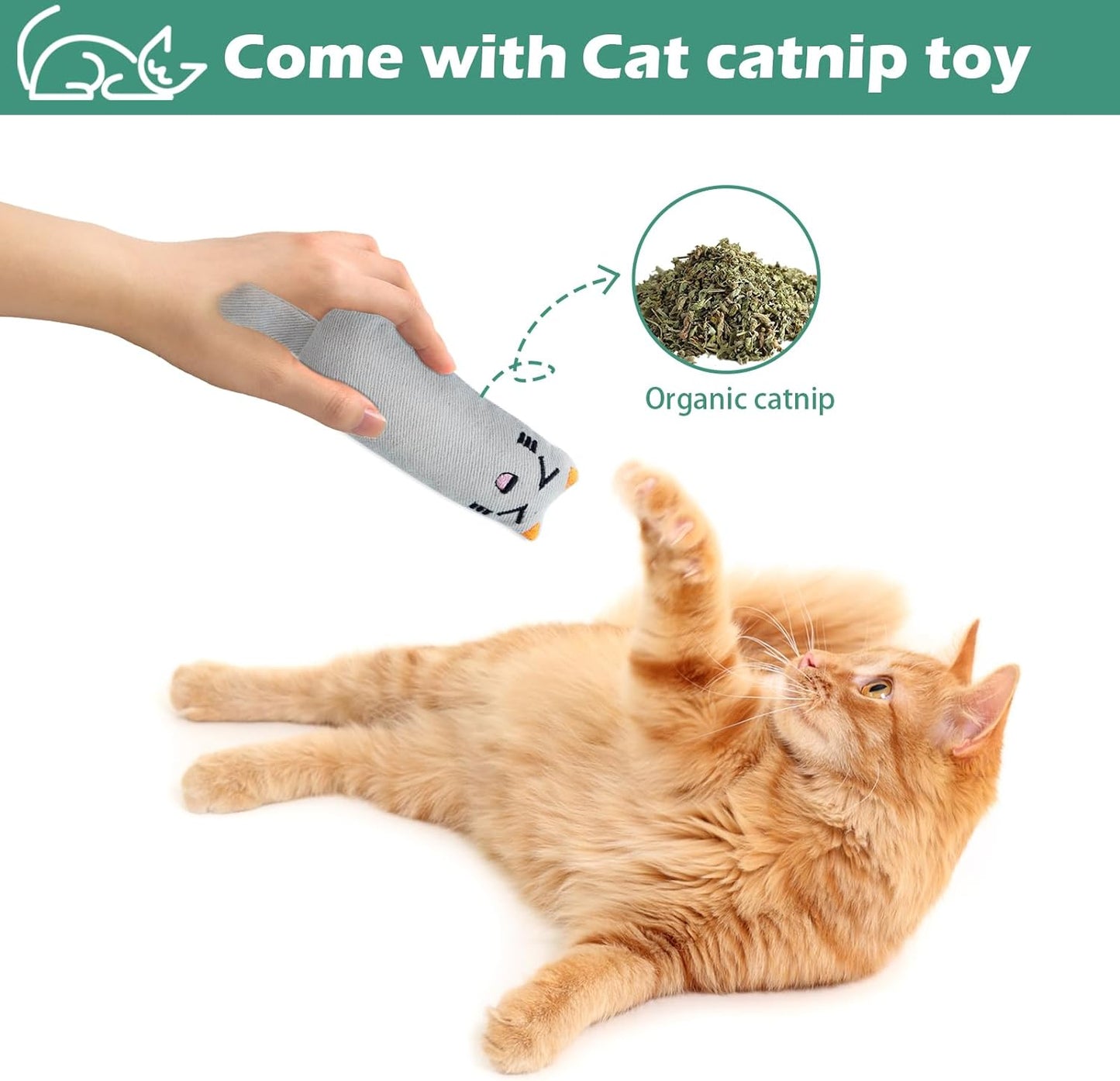 cat catnip toy
