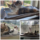 Cat Window Perch , Safety Cat Shelves Space Saving Window Mounted Cat Seat